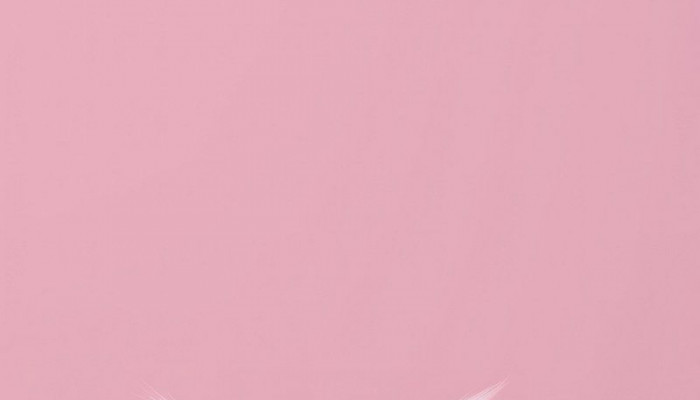 iPhone Cat Wallpaper