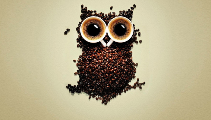 Coffee Owl Wallpaper