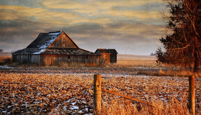 Old Barns Wallpaper