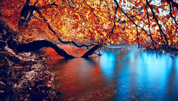 Autumn Lake Wallpaper