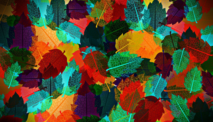 Abstract Autumn Wallpaper