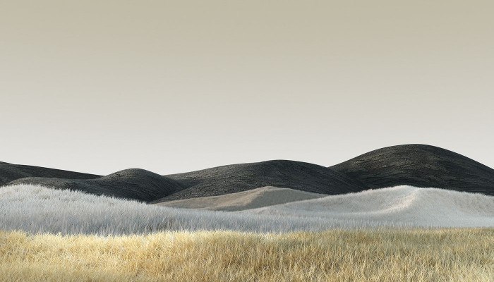 Windows Surface Wallpaper