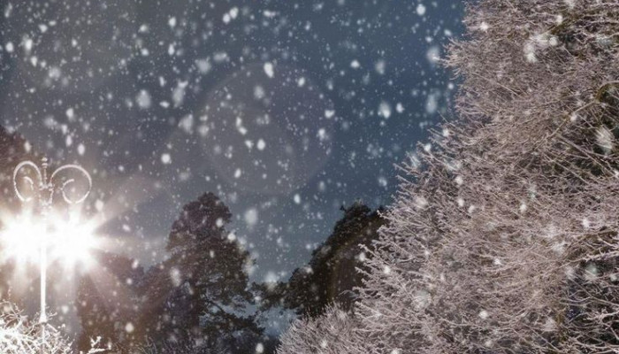 Snow Falling Live Wallpaper