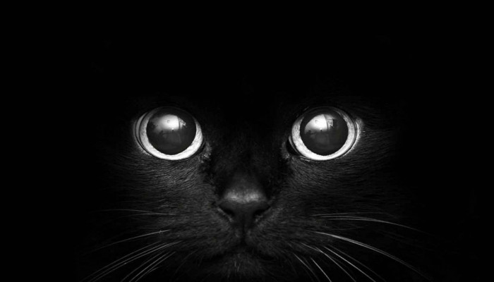 Black Eye Wallpaper