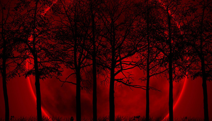 Dark and Red Wallpaper