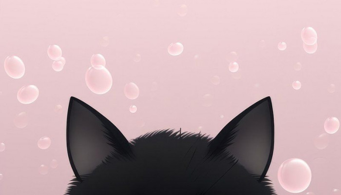 Black Cat Cartoon Wallpaper
