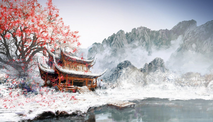 Winter Cherry Blossom Wallpaper