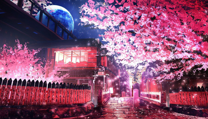 Anime Sakura Wallpaper