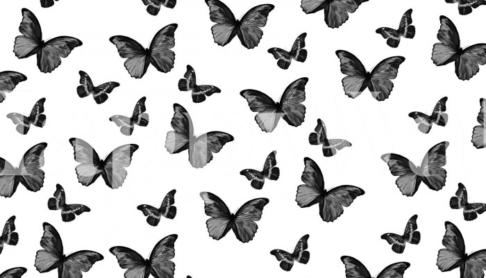 Black and White Butterfly Wallpaper