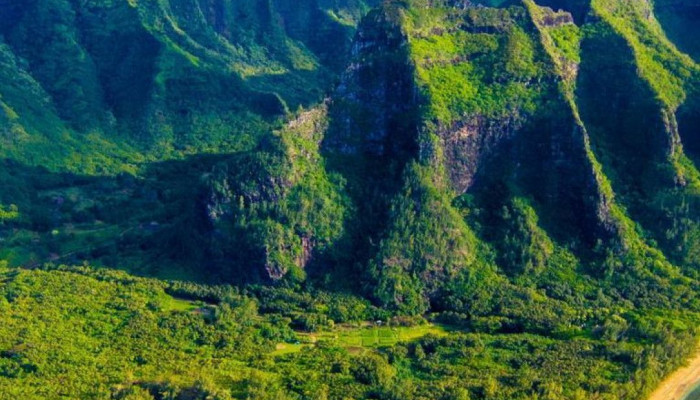 Oahu iPhone Wallpaper