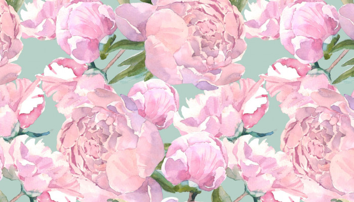 Peony Rose Wallpaper