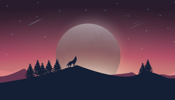 Adobe Illustrator Wallpaper