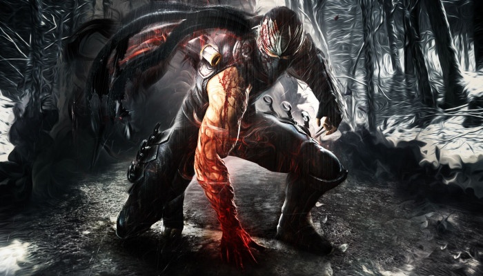 Ninja Gaiden Wallpaper