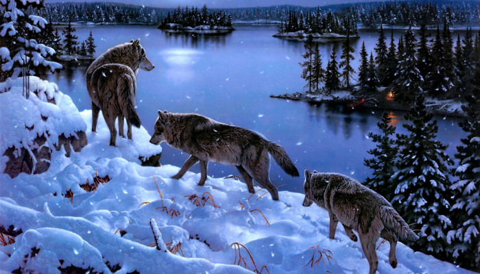 Wolf Pack Wallpaper