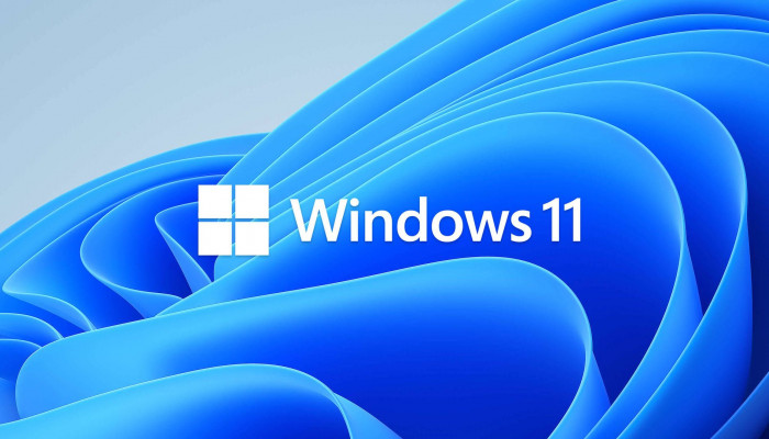 Windows 11 Logo Wallpaper