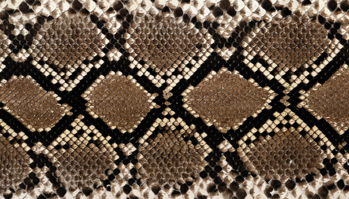 Snake Skin Wallpaper