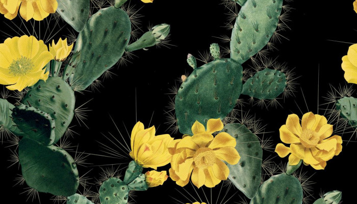 Vintage Cactus Wallpaper