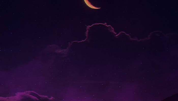 Midnight Purple Wallpaper