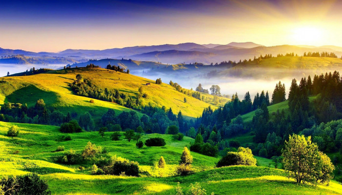 Rolling Hills Wallpaper