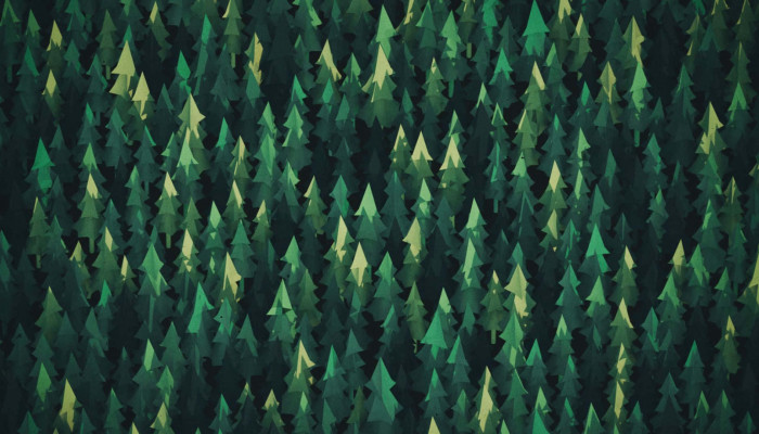 Geometric Forest Wallpaper