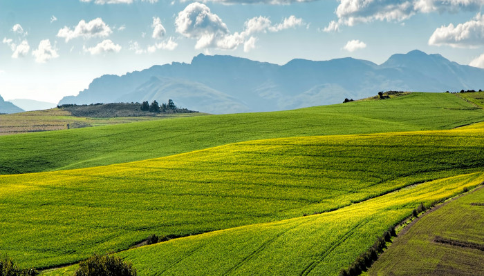 Farmland Wallpaper