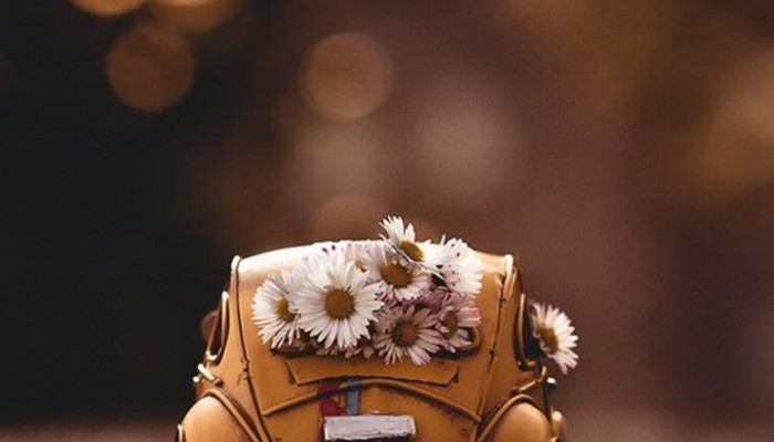 Cute Car Wallpaper