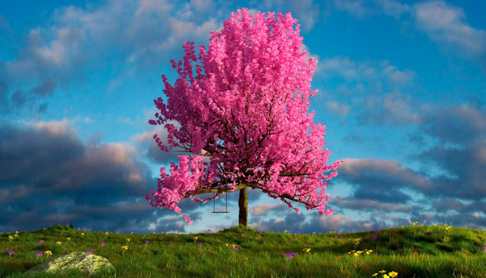 Tree Pink Wallpaper