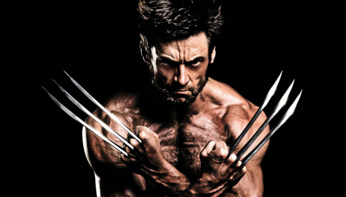 Wolverine 8K Wallpaper