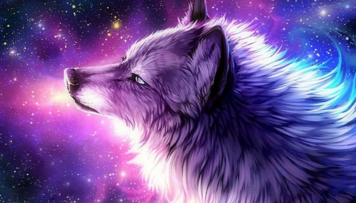 Purple Wolf Wallpaper