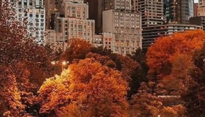 NYC Autumn Wallpaper
