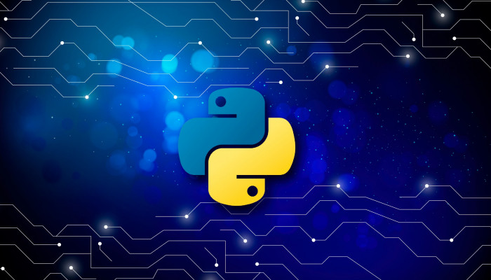 Python Programmer Wallpaper