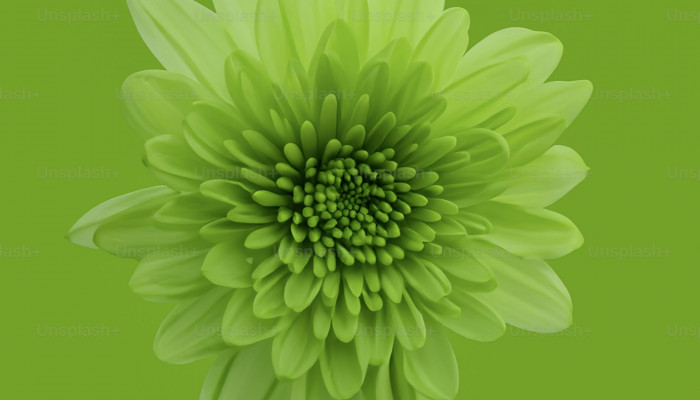 Green Flowers Wallpaper