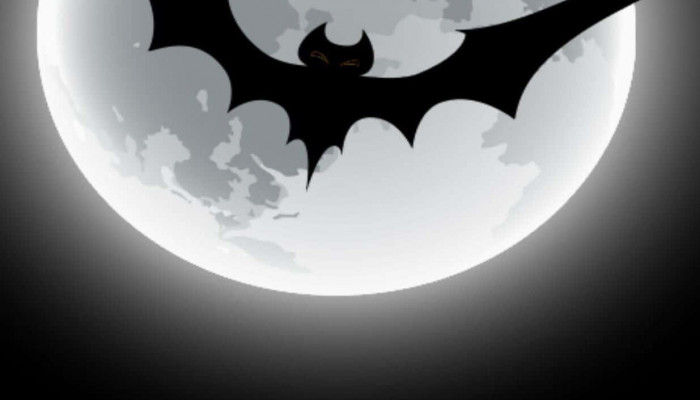 Dark Bat Wallpaper