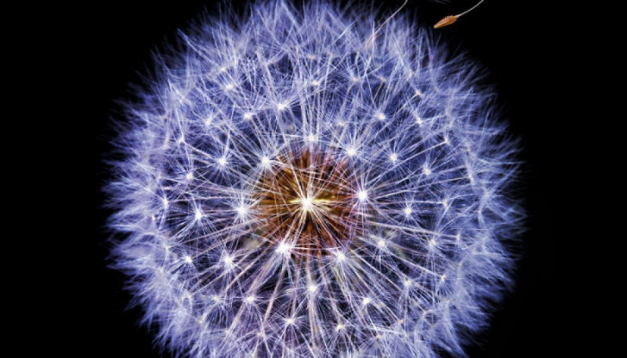 Galaxy S9 Wallpaper