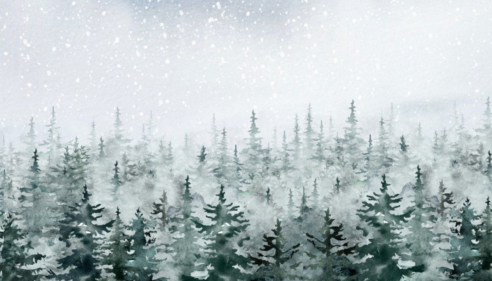 Winter Aesthetic Desktop Wallpaper