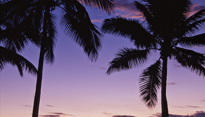 Fiji Sunset Wallpaper