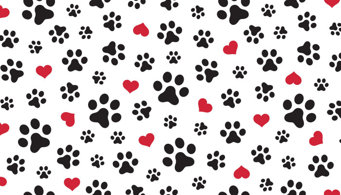 Dog Paw Wallpaper