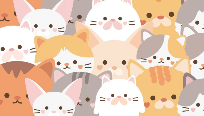 Cute Animal Desktop Wallpaper