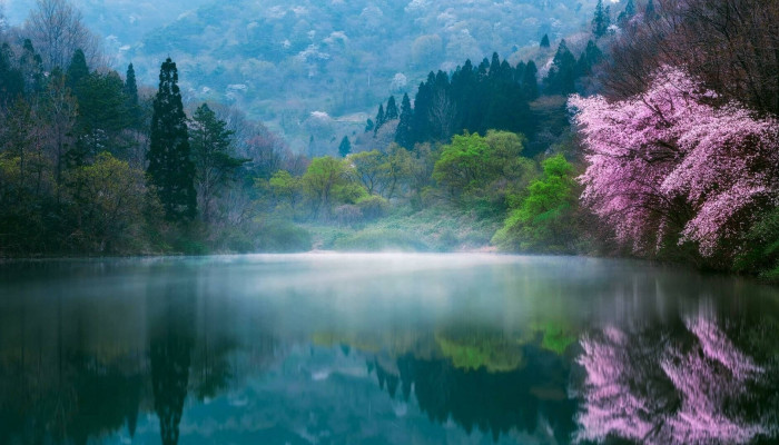 Korean Nature Wallpaper