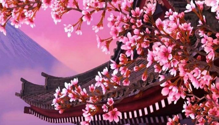 Sakura Phone Wallpaper