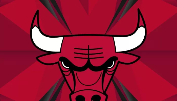 NBA Bulls Wallpaper