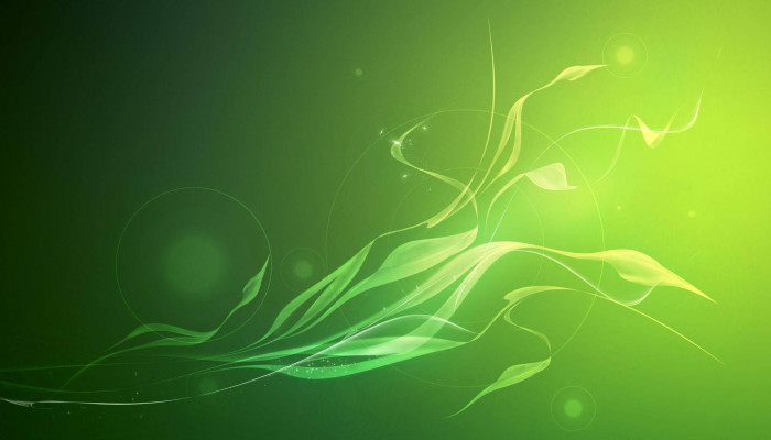 Light Green Abstract Wallpaper