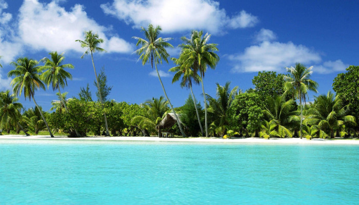 Tropical PC Wallpaper