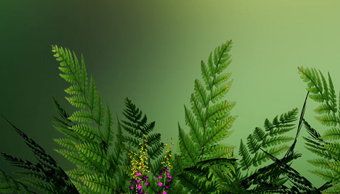 Natural Green Wallpaper