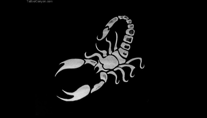 Scorpion Logo Wallpaper