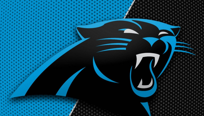 Panthers Logo Wallpaper
